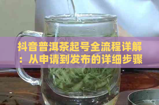 抖音普洱茶起号全流程详解：从申请到发布的详细步骤与注意事项