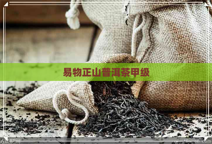 易物正山普洱茶甲级