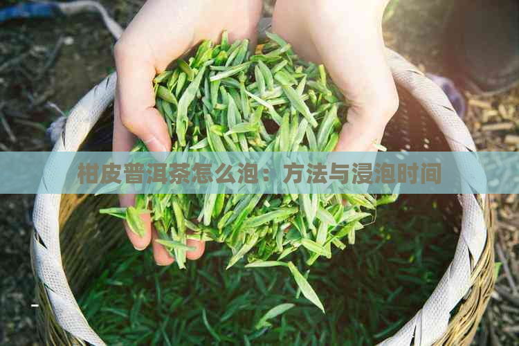 柑皮普洱茶怎么泡：方法与浸泡时间