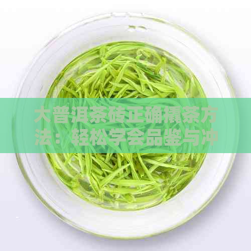 大普洱茶砖正确撬茶方法：轻松学会品鉴与冲泡