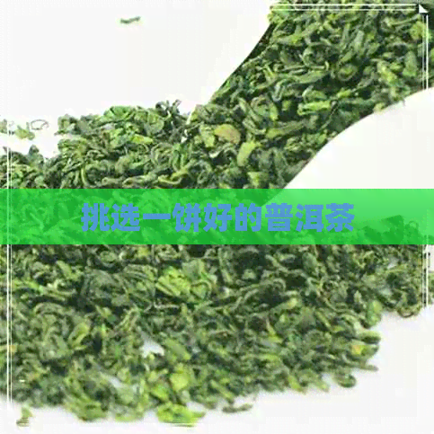 挑选一饼好的普洱茶