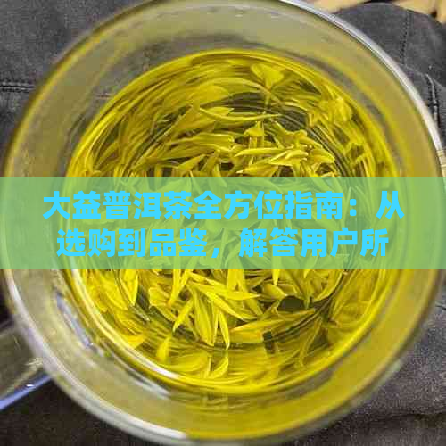 大益普洱茶全方位指南：从选购到品鉴，解答用户所有疑问