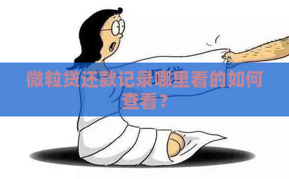 微粒贷还款记录哪里看的如何查看？