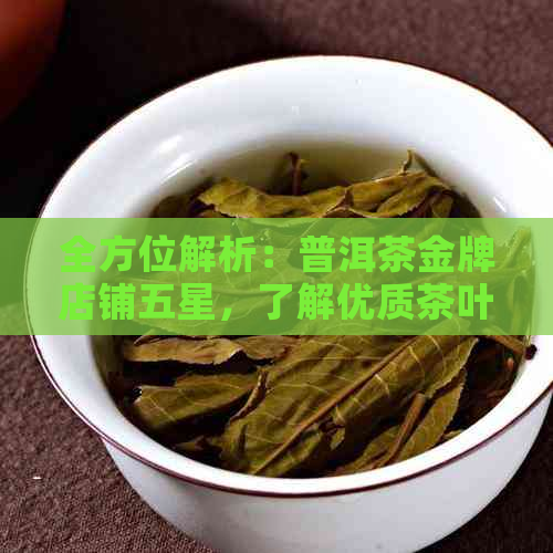 全方位解析：普洱茶金牌店铺五星，了解优质茶叶与专业服务的关键指南