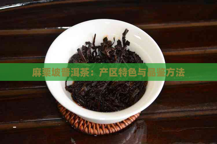 麻栗坡普洱茶：产区特色与品鉴方法