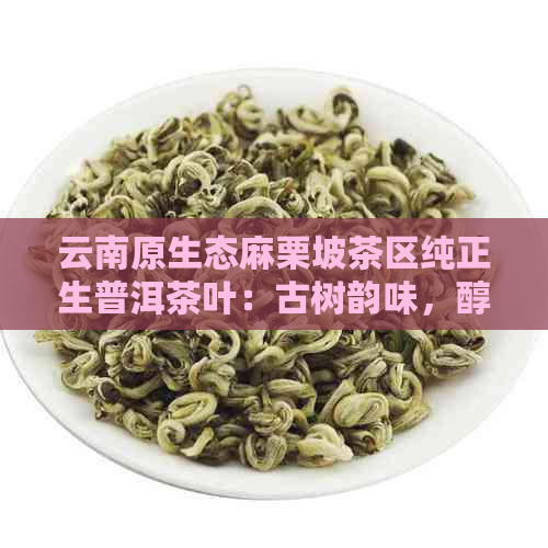 云南原生态麻栗坡茶区纯正生普洱茶叶：古树韵味，醇厚口感，天然香气