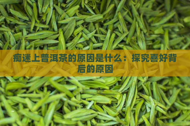 痴迷上普洱茶的原因是什么：探究喜好背后的原因