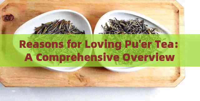 Reasons for Loving Pu'er Tea: A Comprehensive Overview