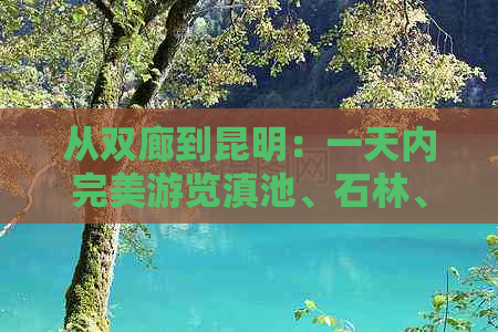 从双廊到昆明：一天内完美游览滇池、石林、西山、翠湖等景点的旅游攻略