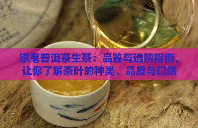 银毫普洱茶生茶：品鉴与选购指南，让你了解茶叶的种类、品质与口感