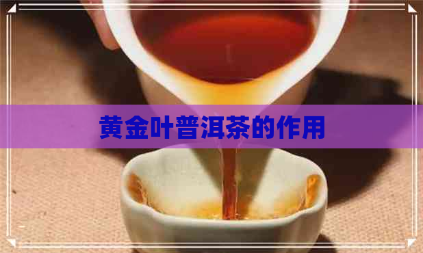 黄金叶普洱茶的作用