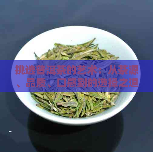 挑选普洱茶的艺术：从茶源、品质、口感到的选择之道