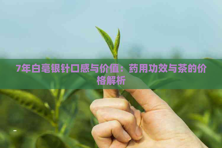 7年白毫银针口感与价值：药用功效与茶的价格解析