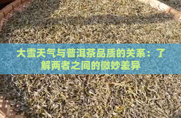 大雪天气与普洱茶品质的关系：了解两者之间的微妙差异