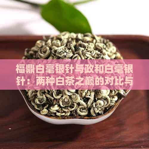 福鼎白毫银针与政和白毫银针：两种白茶之巅的对比与鉴