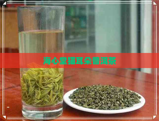 海心堂猫耳朵普洱茶