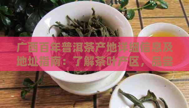 广西百年普洱茶产地详细信息及地址指南：了解茶叶产区，品尝正宗普洱茶