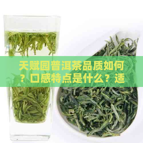 天赋园普洱茶品质如何？口感特点是什么？适合哪些人群饮用？