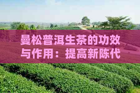 曼松普洱生茶的功效与作用：提高新陈代谢，助消化，降脂减肥，抗衰老。