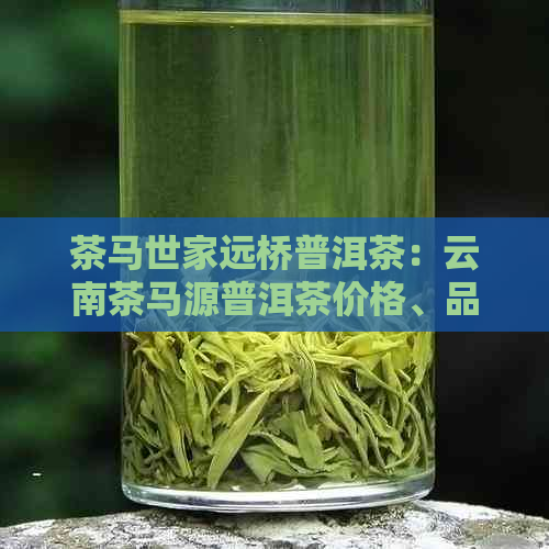 茶马世家远桥普洱茶：云南茶马源普洱茶价格、品质与评价解析