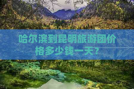 哈尔滨到昆明旅游团价格多少钱一天？