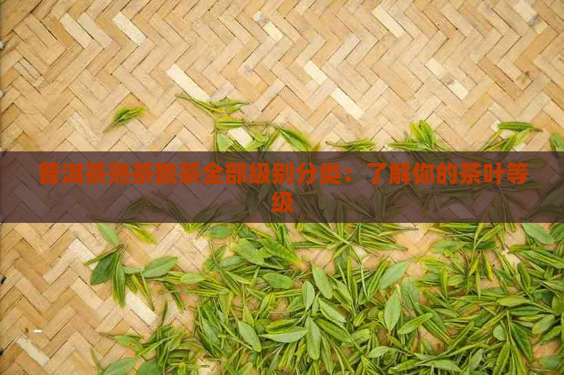 普洱茶熟茶散茶全部级别分类：了解你的茶叶等级