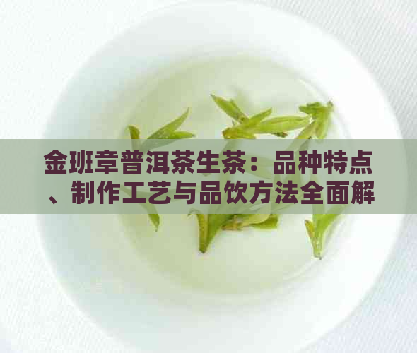 金班章普洱茶生茶：品种特点、制作工艺与品饮方法全面解析