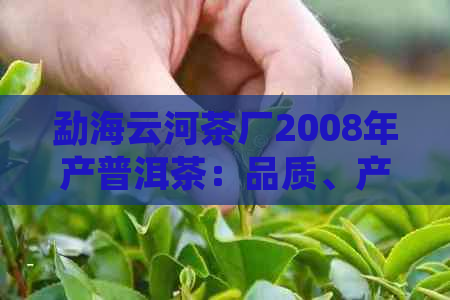 勐海云河茶厂2008年产普洱茶：品质、产地、制作工艺全面解析与品鉴指南