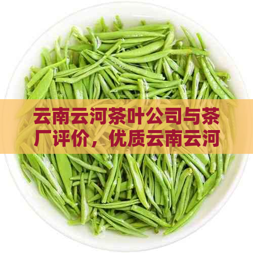 云南云河茶叶公司与茶厂评价，优质云南云河茶叶引人注目