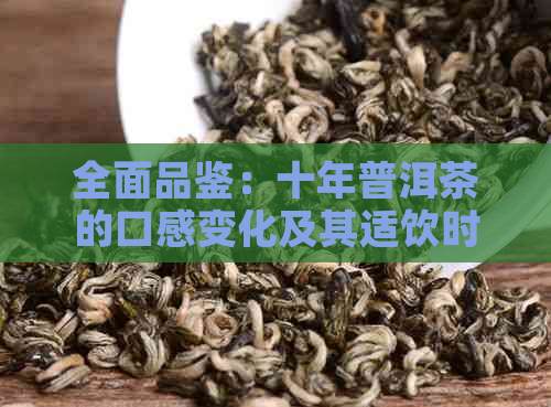 全面品鉴：十年普洱茶的口感变化及其适饮时期揭秘，助你找到更爱的味道