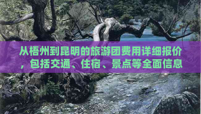 从梧州到昆明的旅游团费用详细报价，包括交通、住宿、景点等全面信息