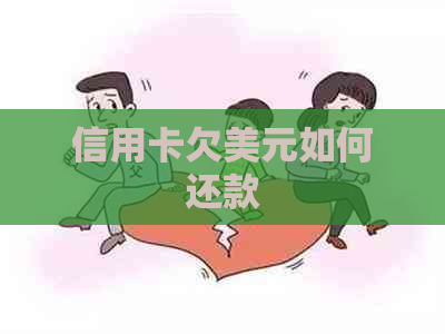 信用卡欠美元如何还款