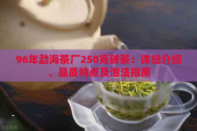 96年勐海茶厂250克砖茶：详细介绍、品质特点及泡法指南