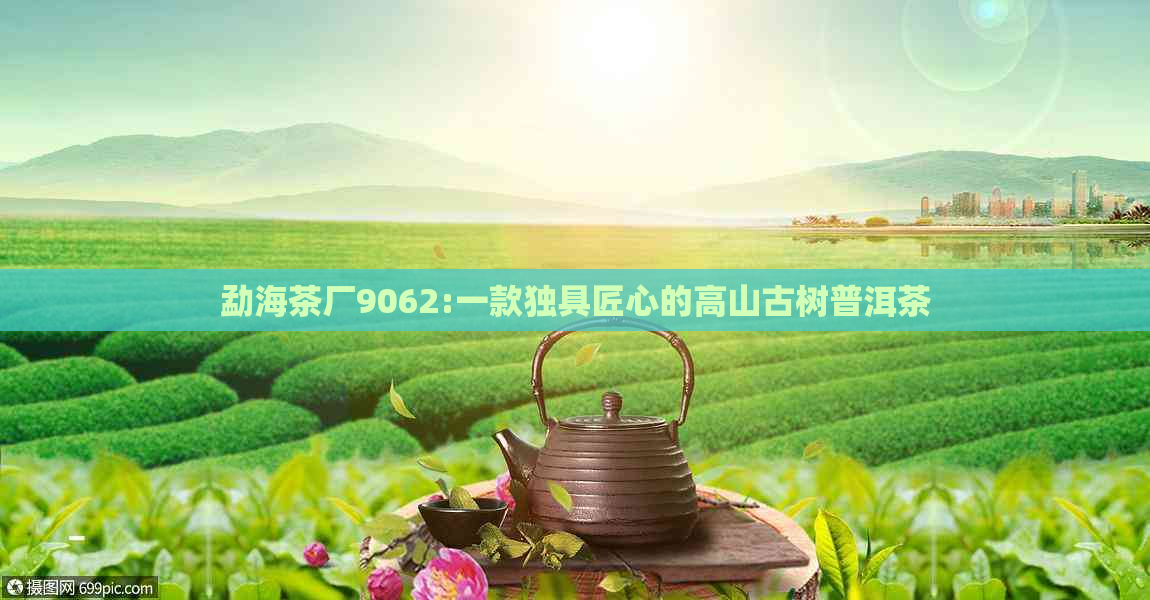 勐海茶厂9062:一款独具匠心的高山古树普洱茶