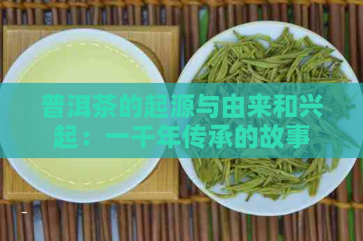 普洱茶的起源与由来和兴起：一千年传承的故事