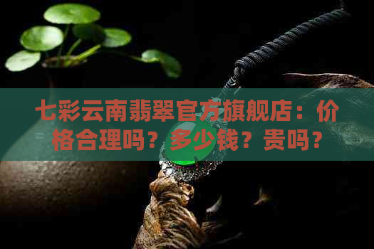 七彩云南翡翠官方旗舰店：价格合理吗？多少钱？贵吗？