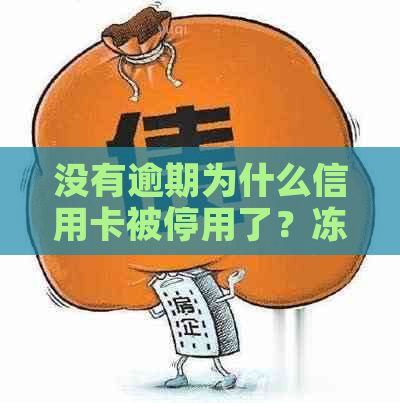 没有逾期为什么信用卡被停用了？冻结解冻恢复使用全攻略