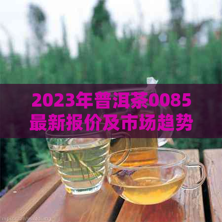 2023年普洱茶0085最新报价及市场趋势分析