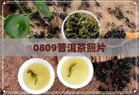 0809普洱茶照片