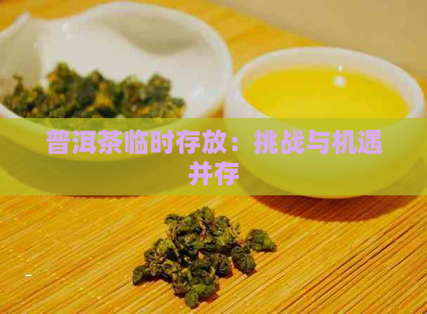 普洱茶临时存放：挑战与机遇并存