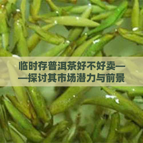 临时存普洱茶好不好卖——探讨其市场潜力与前景