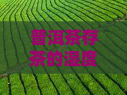 普洱茶存茶的湿度、度和方法，以及使用罐、袋保存的建议。