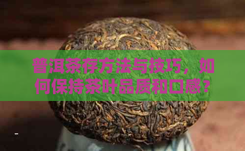 普洱茶存方法与技巧，如何保持茶叶品质和口感？