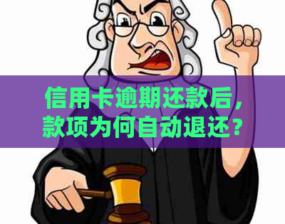 信用卡逾期还款后，款项为何自动退还？解答疑惑并探讨相关问题