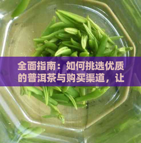 全面指南：如何挑选优质的普洱茶与购买渠道，让你喝出真正的好茶！