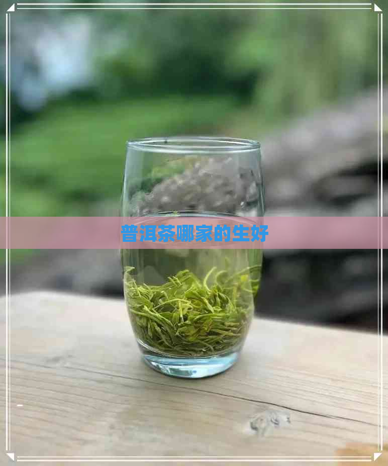 普洱茶哪家的生好