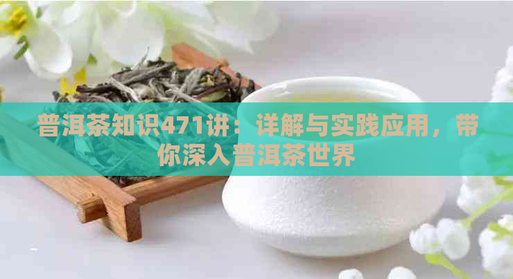 普洱茶知识471讲：详解与实践应用，带你深入普洱茶世界