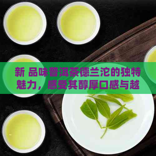 新 品味普洱茶德兰沱的独特魅力，感受其醇厚口感与越品质