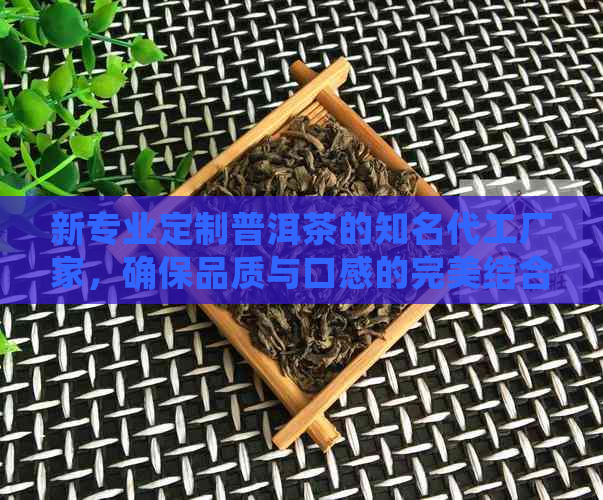 新专业定制普洱茶的知名代工厂家，确保品质与口感的完美结合