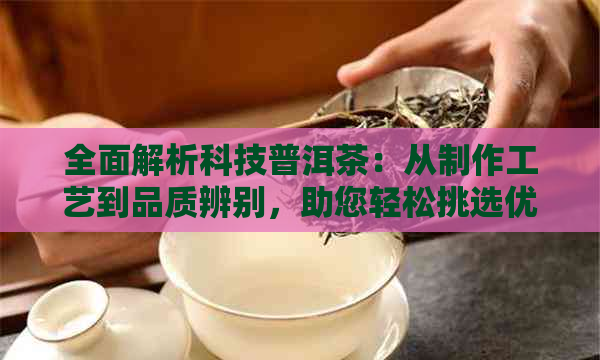 全面解析科技普洱茶：从制作工艺到品质辨别，助您轻松挑选优质科技普洱